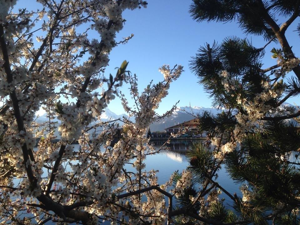 Hotel Du Lac Crans-Montana Exterior foto